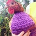 CROCHET PATTERN - Crochet Chicken Sweater PATTERN with Crew Neck or Turtle Neck / Sweater for Chickens, Hens or Roosters