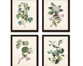 Audubon Bird Prints Set No. 16, Botanical Prints, Illustration, Prints, Vintage Bird Prints, Giclee, Wall Art, Vintage Bird Prints, Collage