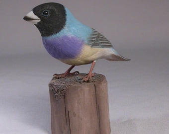 Gouldian Finch (teal-back) Hand Carved Wooden Bird