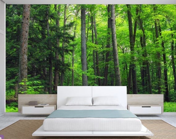 FOREST wallpaper green tree wall mural pine tree peel and