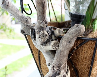 Organic Driftwood Sculpture , One of a Kind Surf Tumbled Beauty for the Beach House