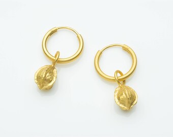 Gold earrings, gold hoop earrings, dangle earrings, seed pod earrings
