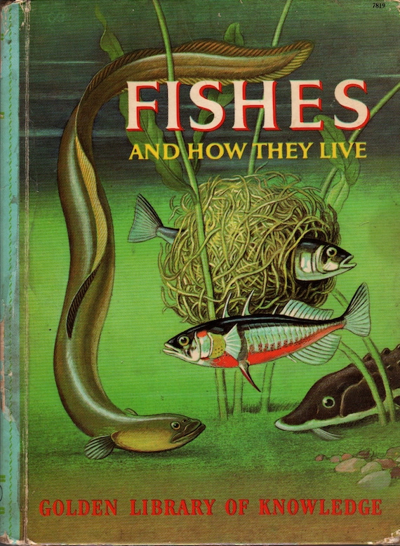 Fishes and How They Live Golden Library of Knowledge + George S. Fichter + Rene Martin and James Gordon Irving + 1960 + Vintage Kids Book