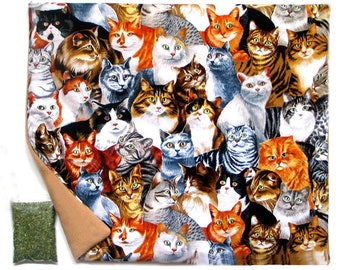 X Large Catnip Mat plus Catnip Multicat Print Refillable Reversible