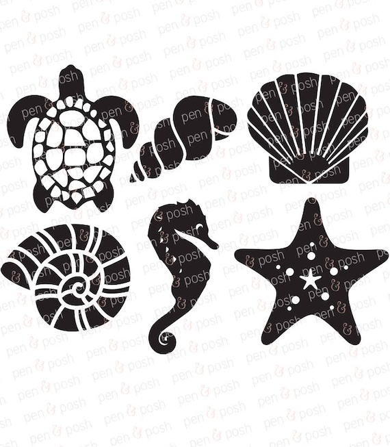 Sea SVG Sea Shells SVG Beach SVG Summer Sea Life Shell