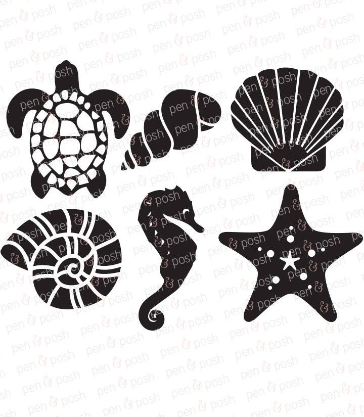 Download Sea SVG Sea Shells SVG Beach SVG Summer Sea Life Shell