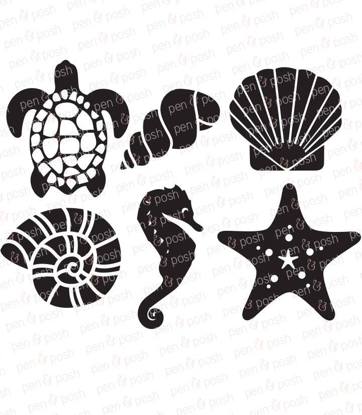 Free Free Sea Life Svg Free 163 SVG PNG EPS DXF File