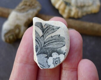Surf Tumbled Black and White Flower and Foliage / Scottish Sea Pottery / Scottish Beach