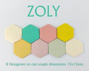 8 small hexagons diameter 2cm 7 colors