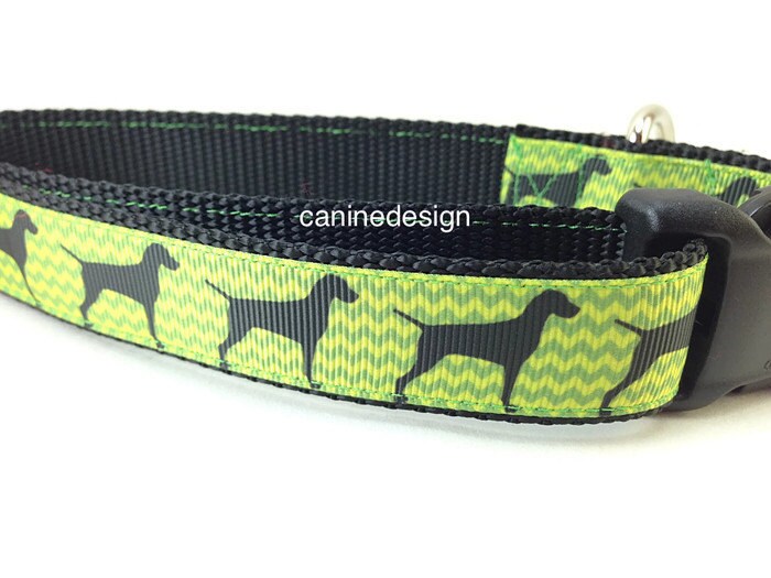 Dog Collar Vizsla Pointer 1 inch wide adjustable quick