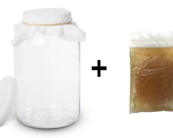 Kombucha Scoby with Starter Tea and 1 Gallon Glass Kombucha Jar - Brewing and Fermenting Kit By Kitchentoolz