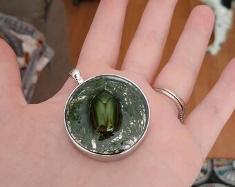 Real Insect Beetle Necklace