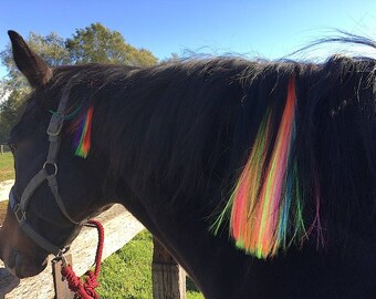 Mane Extension Synthetic Clip-on 12" Multi Colors Fluorescent