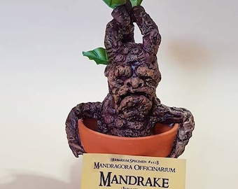 Mandrake inspired by Harry Potter
