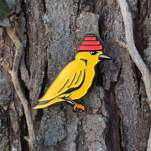 DEVO Bird Enamel Pin- Are We Not Birds?