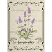 Digital Download Framed Lavender Herb Illustration Transfer Clip Art; 1065