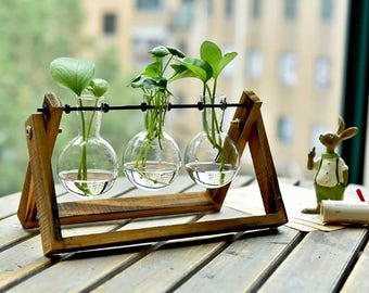 Simple Glass Vase Set,Water Plant Vase,Glass Vase,Home Decor,Office Decor,Terrarium,Water Planter,Gift Idea,Simple Gift
