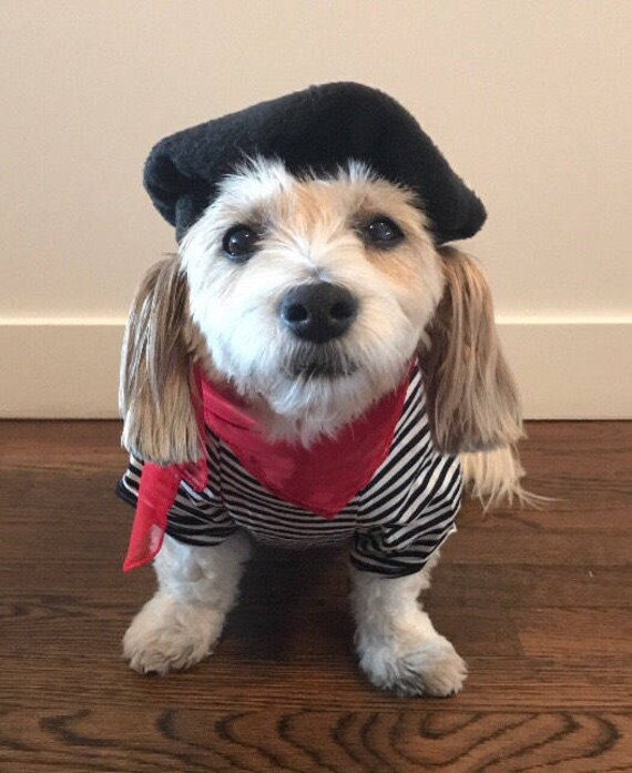 Dog Beret Any Color with contrast button and stitching Hats