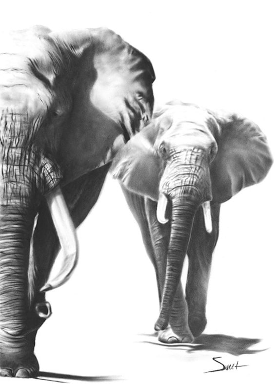 Elephant art print african elephant print elephant gift Elephant art print african elephant print elephant gift