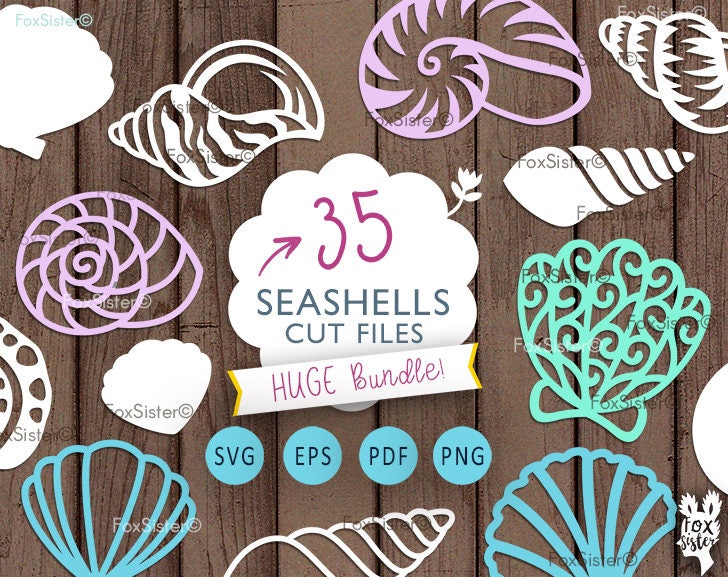 Download Sea Shells SVG Bundle 35 Seashells svg Beach svg Ocean Cut