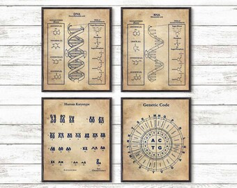 DNA Print Art, Science Art, Human DNA, Set of 4 prints, Biology Print, Science Art Print, Wall Art Poster, Human Keryotype, Genetic Code