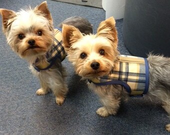 Blue and Tan Plaid Small Dog Harness Made in USA, dog harnesses, pet clothing