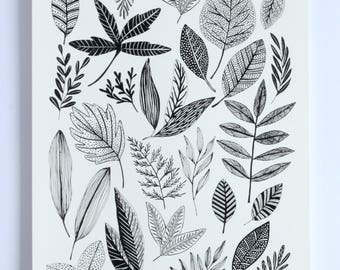 Hand Pulled Black Botanical Study Screen Print