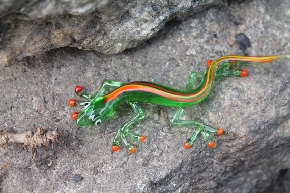salamanda lizard