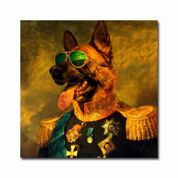 pet portraits funny pet portraits funny
