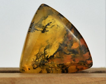Fantastic Faceted Quartz With Dendrites