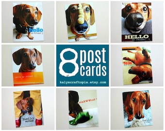 Hello My Friend Assorted Dachshund Postcard Set