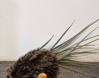 Vintage Steiff Hedgehog Joggi - Germany
