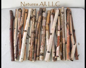 Crafting Sticks/White Birch Sticks/24 Piece Set-12 Inch Lengths/Wood Sticks For Crafts/Rustic Wood Sticks For Crafting/Tree Branch Sticks/