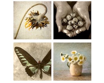 Four Rustic Prints Set, Still Life Photography, Farmhouse Decor, Flower Print, Butterfly Art, Sunflower Photo, Quail Eggs Sepia Print