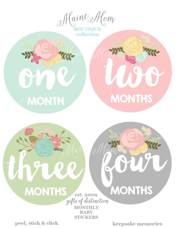 FREE GIFT / Baby Girl Month Stickers Monthly Baby Stickers