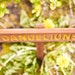 DANDELIONS Garden or Yard Sign Painted & Oil Sealed Cedar