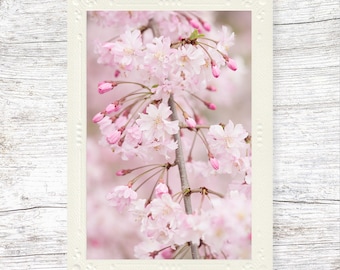 Card with Flowers, Cherry Blossoms, Flower Photo, Floral Art, Nature Photography