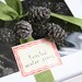 Winter Frosted Pinecones - Miniature Pine Cones Crusted with Silver German Glass Glitter - Christmas Decorating