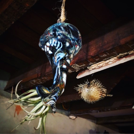 Decorative hand blown hot glass and airplant jellyfish