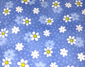 Daisies on Blue Background