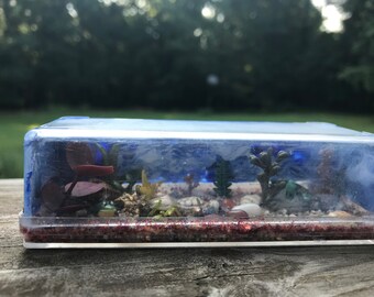 Miniature terrarium
