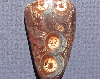 Bird's Eye Rhyolite Jasper Cabochon-29.5 Cts. 35.5 mm L X 21.5mm W