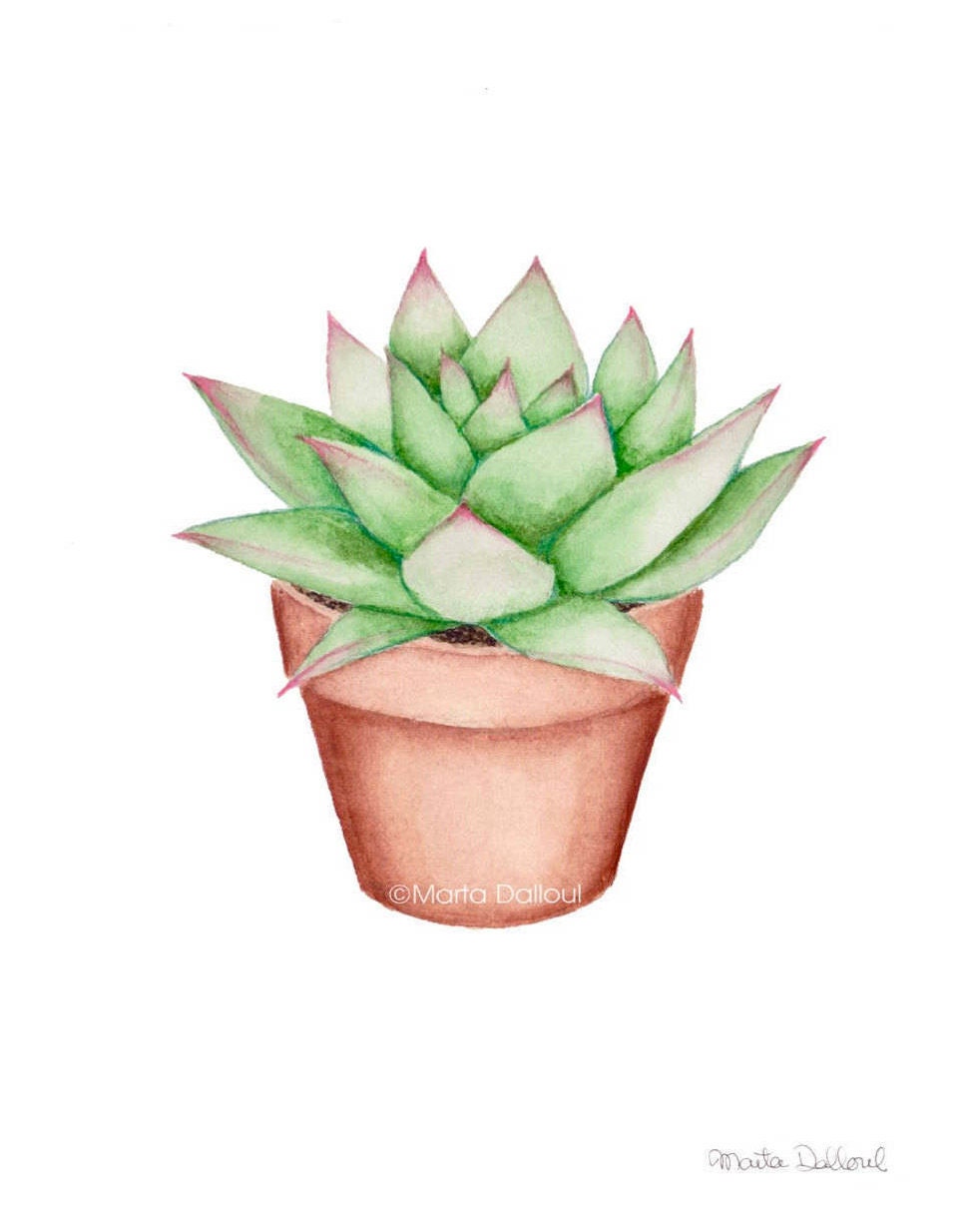  Succulent  watercolor  art print Cactus  painting Plant wall