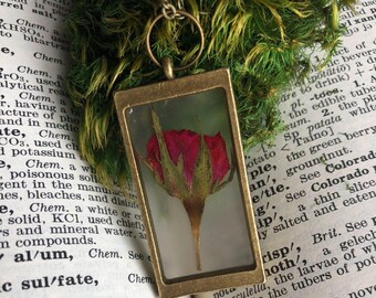 Red rose botanical necklace, real preserved red rose