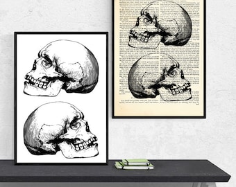 A3 Print, Anatomy Art Gifts, Anatomy Dictionary Art Print, Art Prints, Anatomy Dictionary Art, Anatomy Poster, Anatomy Print, Medical Prints