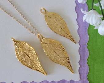 Gold Evergreen Leaf Necklace, Real Leaf Necklace, Evergreen Leaf, Gold Leaf Necklace, Long Leaf, Leaf Pendant LC231