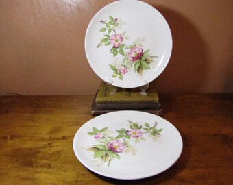 Vintage Glamour Dinner Plates in Briar Rose Pattern by The American Limoges Co.