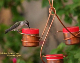 Three Station Bee and Wasp Proof Copper Hummingbird Feeder