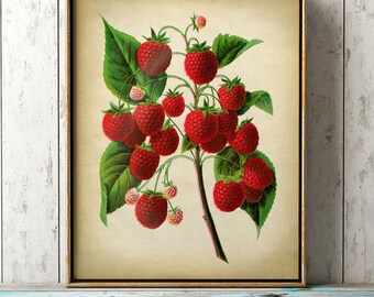 Strawberry art print | Etsy