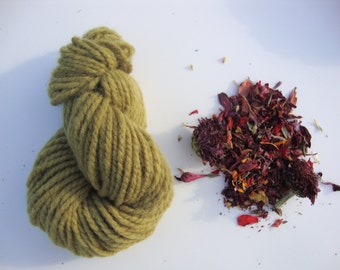 Natural Dye Sample Kit - Zinnia